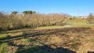 Terreno Agricolo in vendita a Valmontone in via colle s. upica snc - 03, Foto 3