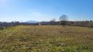 Terreno Agricolo in vendita a Valmontone in via colle s. upica snc - 06, Foto 6