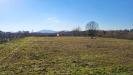 Terreno Agricolo in vendita a Valmontone in via colle s. upica snc - 05, Foto 5