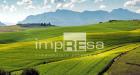 Terreno Agricolo in vendita a Ormelle - 03, Foto 3