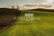 Terreno Agricolo in vendita a Gorgo al Monticano in via guietta - 05, Foto 5