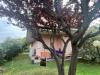 Villa in vendita con giardino a Massa - marina di - 03