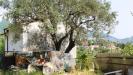 Casa indipendente in vendita con giardino a Carrara - sorgnano - 04