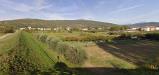 Appartamento in vendita con giardino a Vecchiano - 04, Foto 4