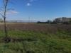 Terreno Agricolo in vendita a Bientina in via del puntone - 03, Foto 3