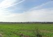 Appartamento in vendita con giardino a Cascina in via tosco romagnola 1500 - 10, Foto 10