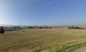 Appartamento in vendita con giardino a Cascina in via tosco romagnola 1500 - 04, Foto 4
