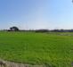 Appartamento in vendita con giardino a Cascina in via tosco romagnola 1500 - 09, Foto 9