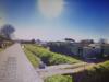 Appartamento in vendita con giardino a Cascina in via torello meliani - 03, Foto 3