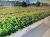 Appartamento in vendita con giardino a Cascina in via torello meliani - 04, Foto 4