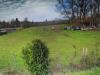 Appartamento in vendita con giardino a Cascina in via torello meliani - 07, Foto 7