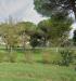 Appartamento in vendita con giardino a Pontedera in via della scafata - 05, Foto 5