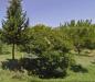 Villa in vendita con giardino a Massarosa in via del falasco - 09, Foto 9