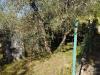 Casa indipendente in vendita con giardino a Montopoli in Val d'Arno in via mazzana - 10, Foto 10