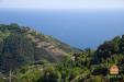 Casa indipendente in vendita con giardino a Vernazza - drignana - 03