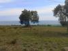 Terreno Edificabile in vendita a Colonnella in loc. civita snc - 04, Foto 4