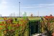 Appartamento in vendita con giardino a Santo Stefano al Mare in via gianni cozzi snc - 05, Foto 5