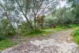 Appartamento in vendita a Imperia - 06, Foto 6