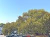 Appartamento in vendita classe A1 a Bordighera - 10, Foto 10