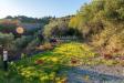 Terreno Agricolo in vendita a Cipressa - 07, Foto 7