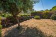 Villa in vendita con giardino a Santo Stefano al Mare - 10, Foto 10