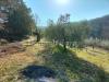 Terreno in vendita classe A4 a Magione - 03