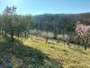 Terreno in vendita classe A4 a Magione - 06