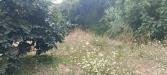 Appartamento in vendita a Magione - 02