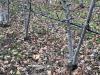 Terreno Agricolo in vendita a Dro - 04, Foto 4