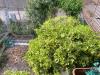 Appartamento in vendita con giardino a Cembra - 08, Foto 8