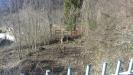 Terreno Edificabile in vendita a Borgo Valsugana - 03, Foto 3