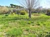 Terreno Agricolo in vendita a Santa Maria a Monte in francesca sud - 05, Foto 5