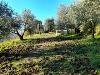 Appartamento in vendita con giardino a Montopoli in Val d'Arno in fontanelle - 10, Foto 10