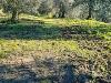 Appartamento in vendita con giardino a Montopoli in Val d'Arno in fontanelle - 07, Foto 7