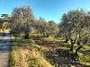 Appartamento in vendita con giardino a Montopoli in Val d'Arno in fontanelle - 08, Foto 8