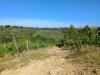Terreno Agricolo in vendita a Terricciola in via del chianti - 05, Foto 6