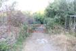 Terreno Agricolo in vendita a Castiglione di Sicilia in contrada gaeto - 10, Foto 10