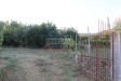 Terreno Agricolo in vendita a Castiglione di Sicilia in contrada gaeto - 03, Foto 3