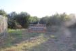 Terreno Agricolo in vendita a Castiglione di Sicilia in contrada gaeto - 04, Foto 4
