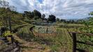 Terreno Agricolo in vendita a Linguaglossa in strada regionale mareneve - 05, Foto 5