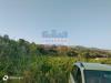 Terreno Agricolo in vendita a Piedimonte Etneo in via chiovazzi - 04, Foto 4