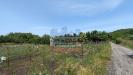 Terreno Agricolo in vendita a Castiglione di Sicilia in c.da cerro - 05, Foto 5