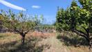 Terreno Agricolo in vendita a Calatabiano in pegno quaderaro - 07, Foto 7