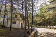 Villa in vendita con giardino a Potenza - 02