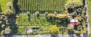 Terreno Agricolo in vendita a Grottaferrata in via castel de paolis 39 - 06, Foto 6