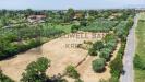 Terreno Agricolo in vendita a Roma in via della falcognana 61 - 05, Foto 5