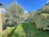 Rustico in vendita da ristrutturare a Bordighera - 10, Foto 10
