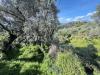 Terreno Edificabile in vendita a Bordighera in via coggiola - 09, Foto 9