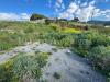 Terreno Edificabile in vendita a Bordighera in via dei colli - 04, Foto 4