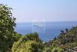 Rustico in vendita con giardino a Bordighera in via cornice dei due golfi - 06, Foto 6